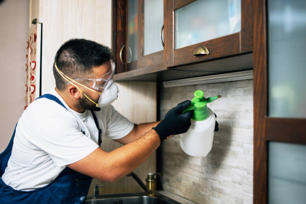 Best Residential Pest Control  in South Lyon, MI