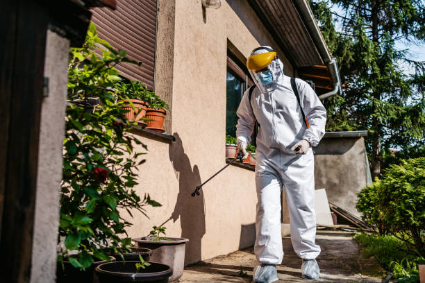 Best Pest Control Near Me in South Lyon, MI