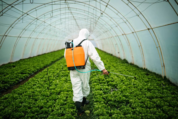 Best Pest Control Near Me  in South Lyon, MI