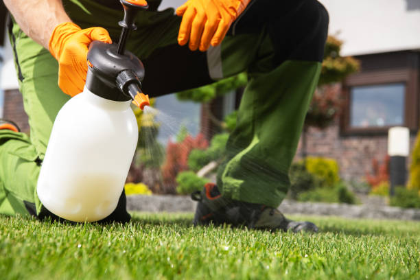 Best Rat Extermination Near Me  in South Lyon, MI