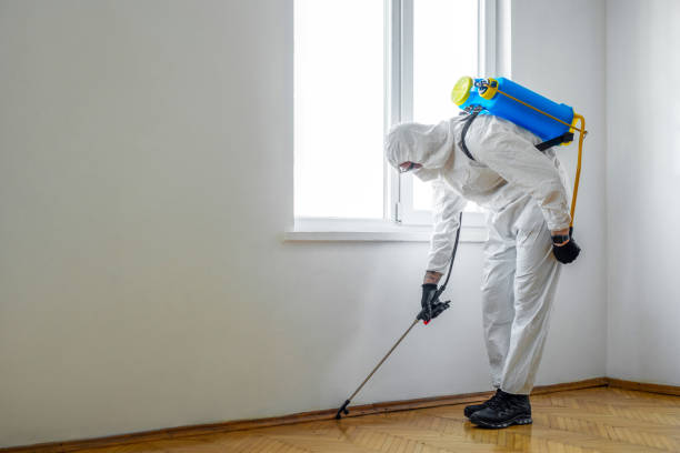 Best Pest Prevention Services  in South Lyon, MI
