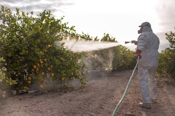 South Lyon, MI Pest Control Company