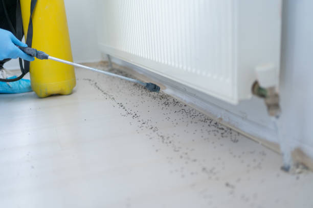 Best Pest Inspection Near Me  in South Lyon, MI