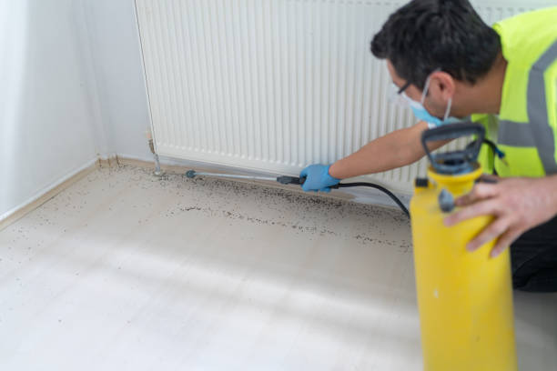 Best Pest Control Near Me  in South Lyon, MI